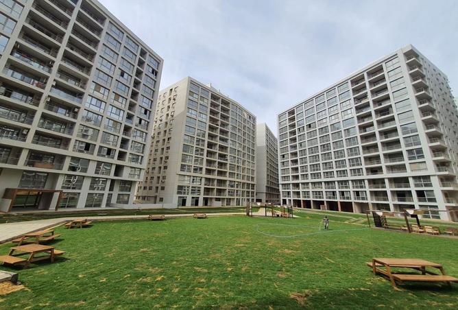 8550459 - Property Image 3