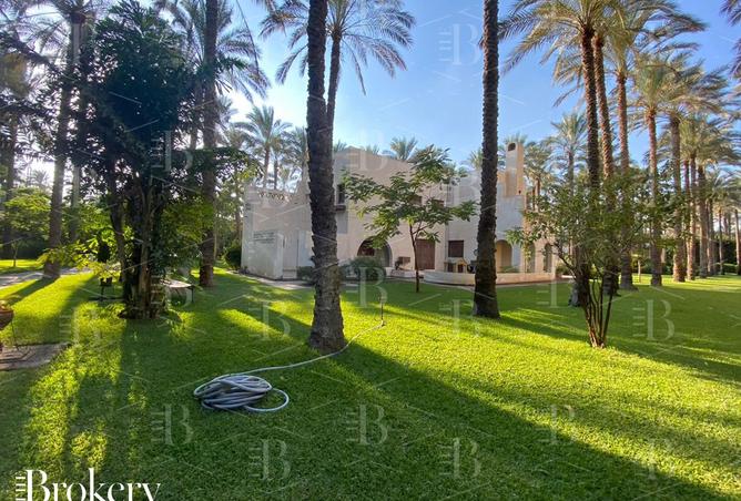 8268890 - صورة العقار 3