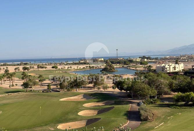 7955841 - الصورة الرئيسية للعقار
