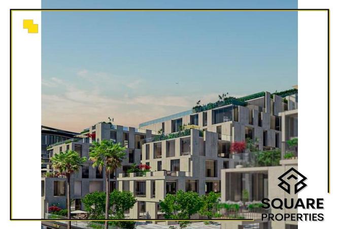 7971077 - Property Image 3