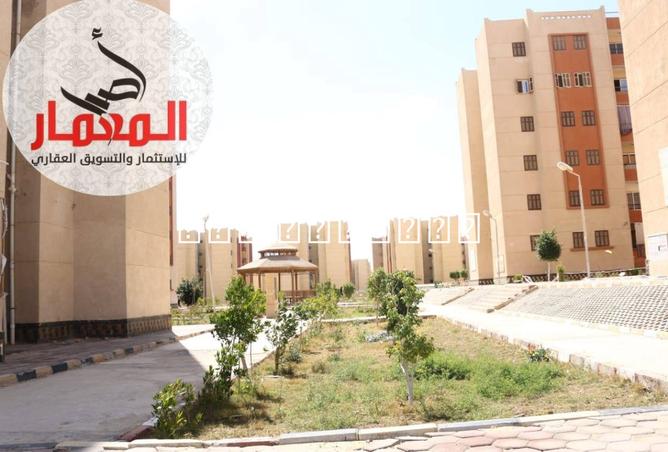 7800337 - صورة العقار 2