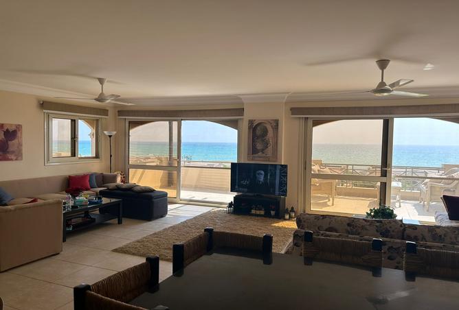 8379857 - Property Image 2