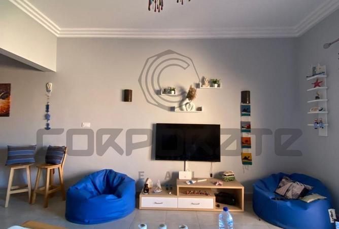 8431973 - Property Image 2