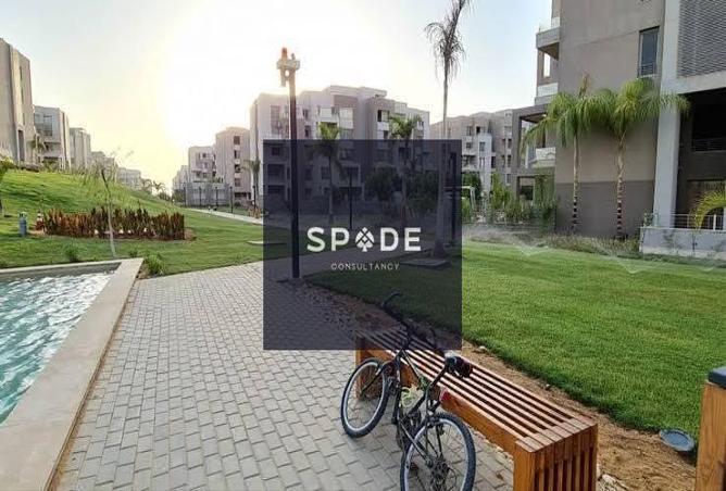 8353978 - صورة العقار 3