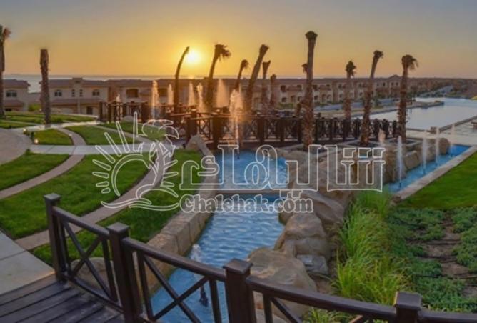 8511827 - Property Image 3