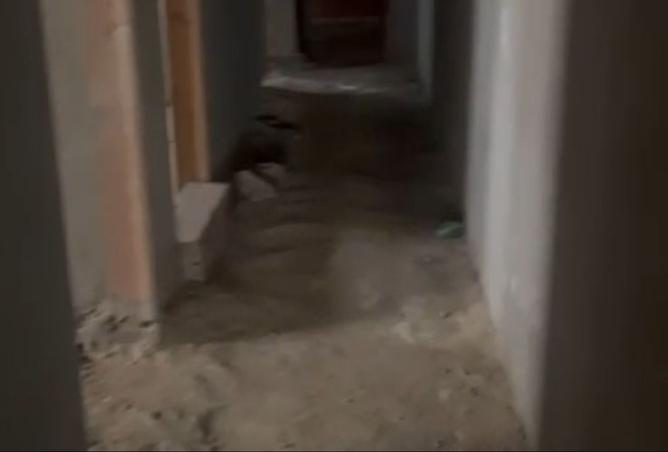 7954451 - الصورة الرئيسية للعقار