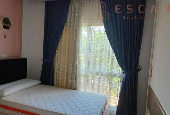 8253791 - Property Image 3