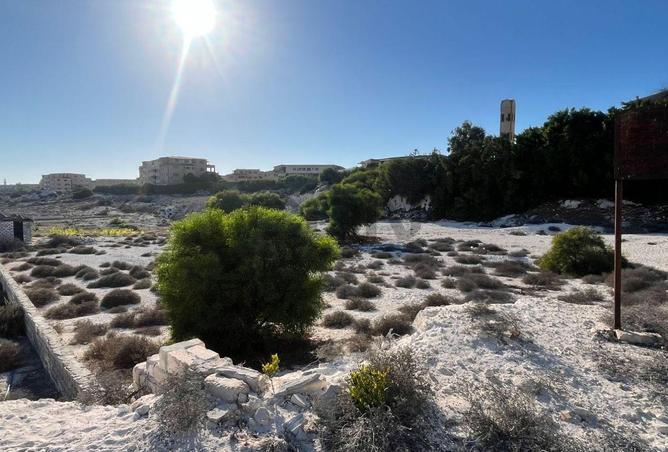 8386407 - صورة العقار 3