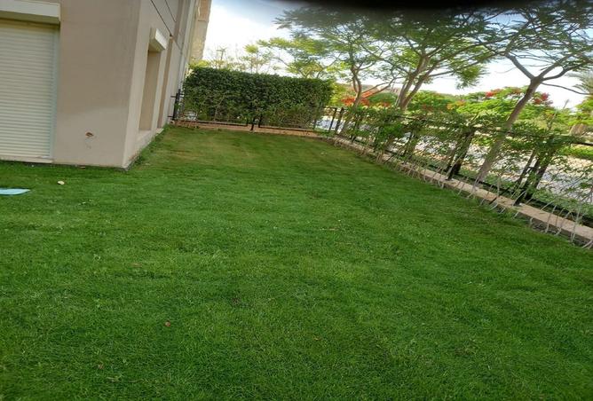 8501874 - Property Image 3