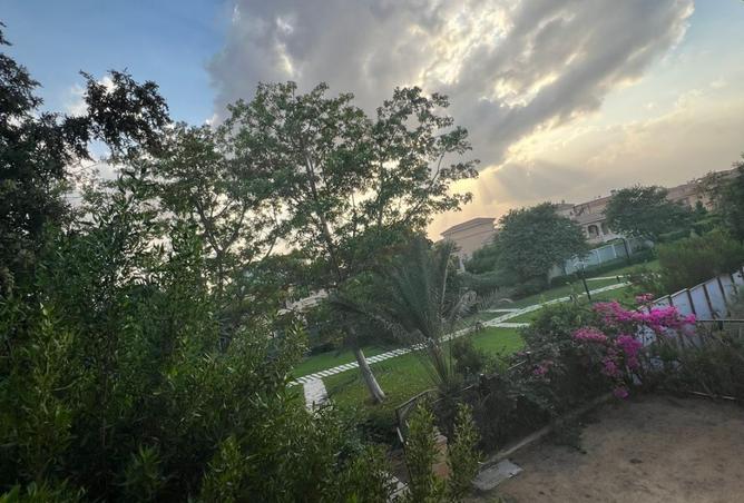 8351116 - Property Image 3