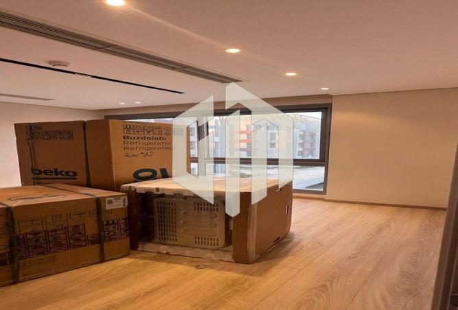 8463040 - Property Image 3