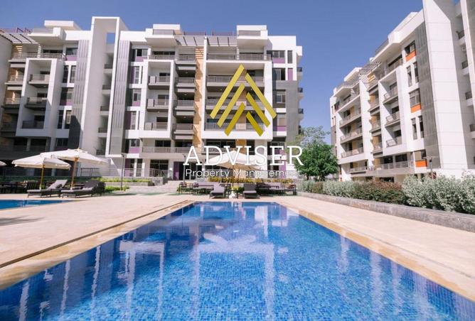 8137043 - Property Image 2