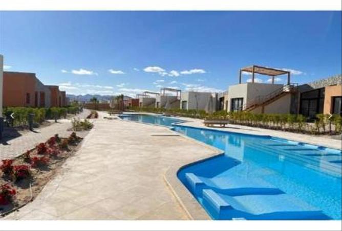 7977476 - Property Image 3