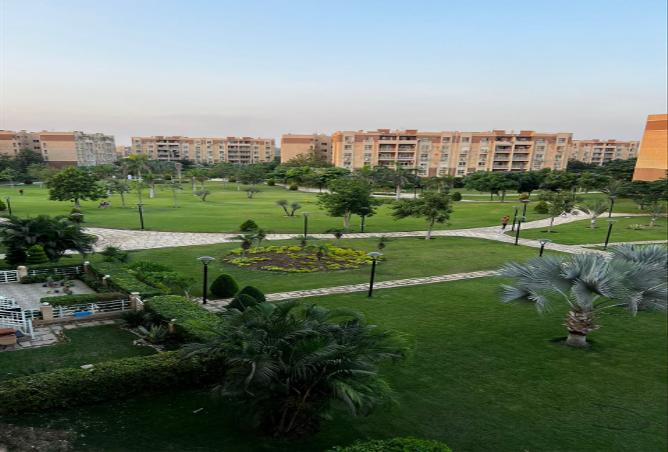 7972791 - الصورة الرئيسية للعقار