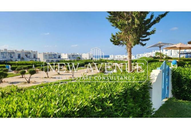 8338665 - صورة العقار 2