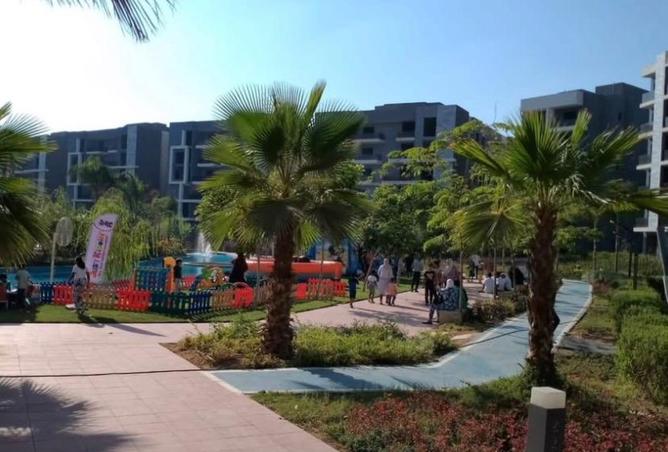 8198950 - صورة العقار 3