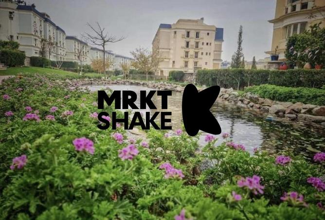 8513424 - Property Image 2