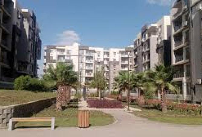8067057 - Property Image 2