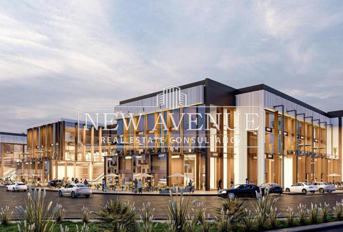 8398612 - Property Image 3