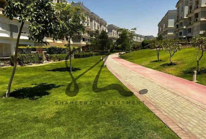 8238141 - Property Image 2