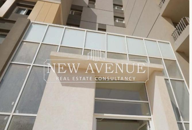 7915241 - Property Image 3