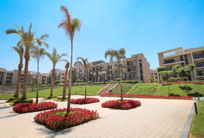 8169518 - صورة العقار 2