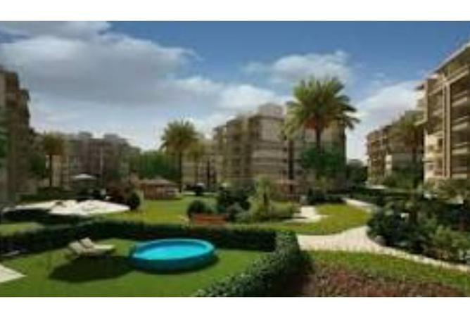 8257927 - Property Image 3