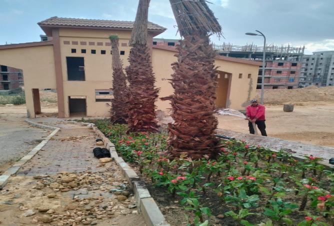 8301173 - Property Image 2