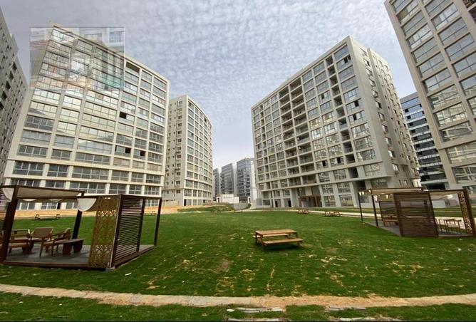 6702815 - صورة العقار 3