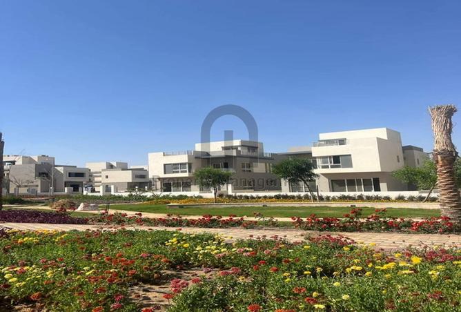 8202297 - صورة العقار 3