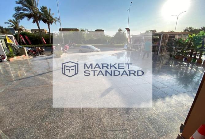 7935186 - Property Image 3
