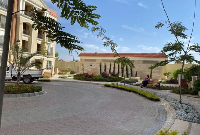 8221268 - Property Image 3