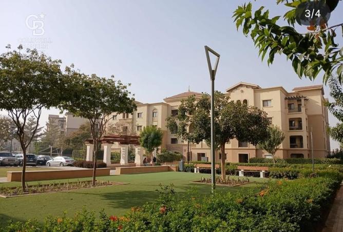 8235543 - Property Image 3