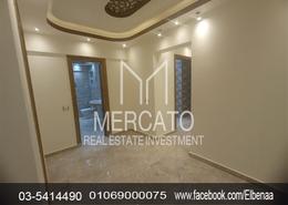 Apartment - 3 bedrooms - 2 bathrooms for للبيع in Al Adib Mohamed Zaitoun St. - Smouha - Hay Sharq - Alexandria
