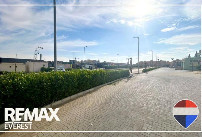 8284848 - Property Image 3