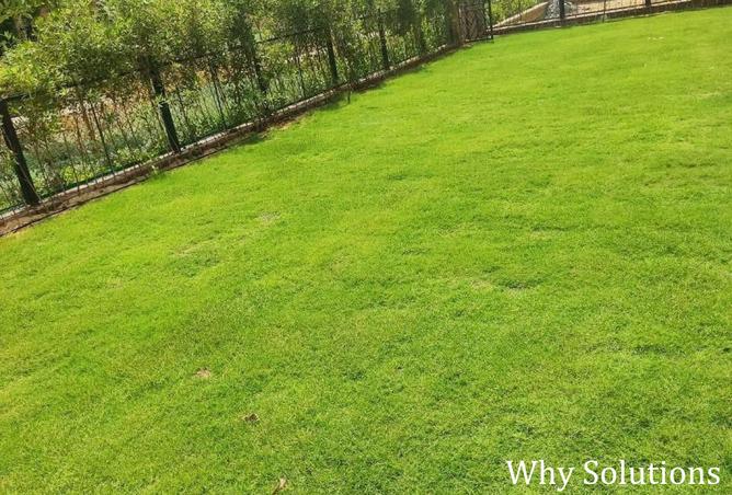 8381064 - Property Image 2