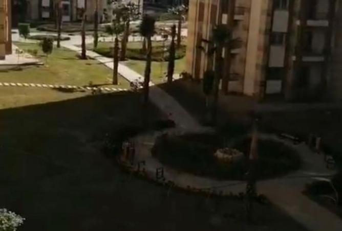 8298347 - Property Image 3