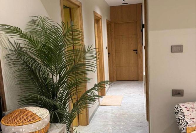 8044657 - Property Image 3