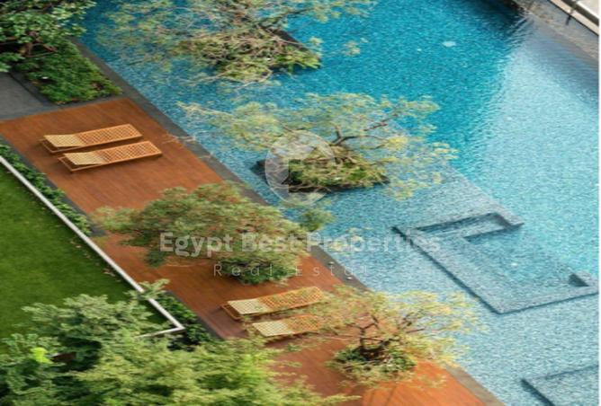 7983380 - صورة العقار 2