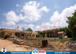 شقة - 5 غرف نوم - 4 حمامات للبيع في طريق القاهرة برج العرب الصحراوى - كينج مريوط - حي العامرية - الاسكندرية