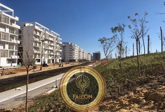 8316241 - Property Image 3