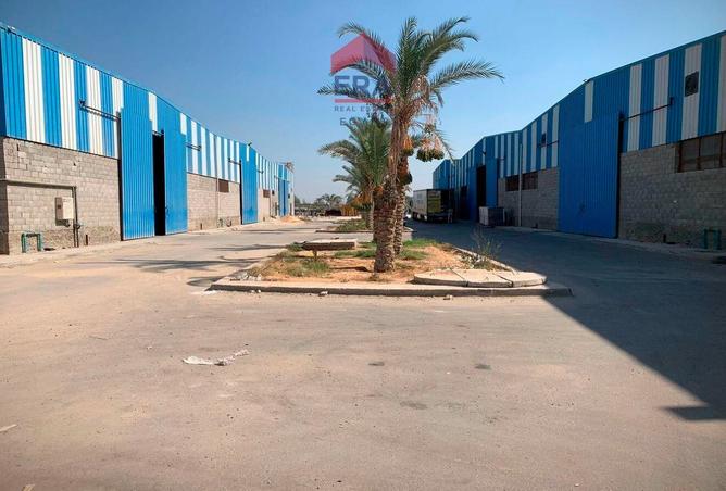 7934831 - صورة العقار 3