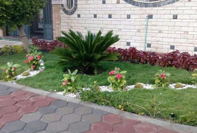 8507041 - صورة العقار 2