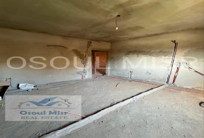7991666 - Property Image 3
