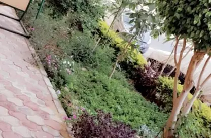 Apartment - 3 Bedrooms - 1 Bathroom for rent in Mostakbal City Compounds - Mostakbal City - Future City - Cairo