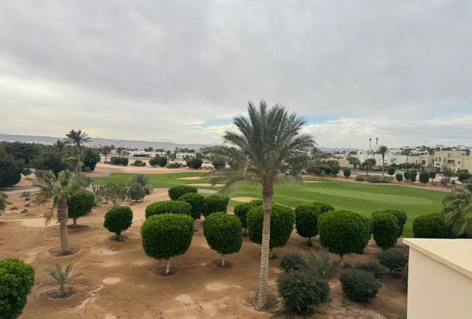 8369001 - Property Image 3