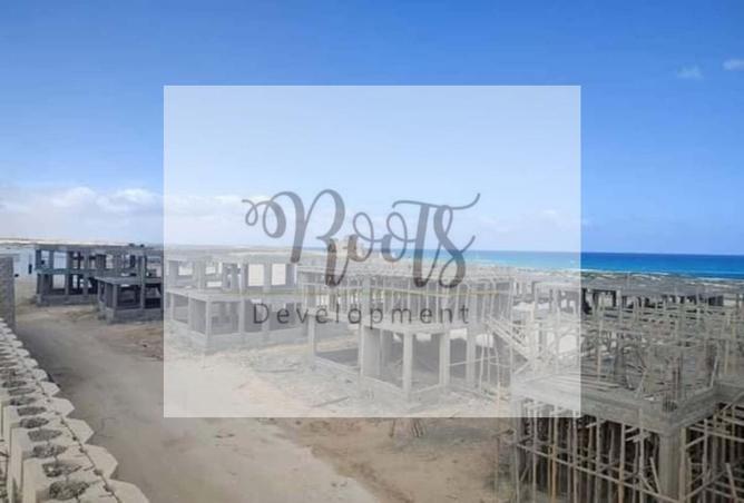 7979804 - Property Image 3