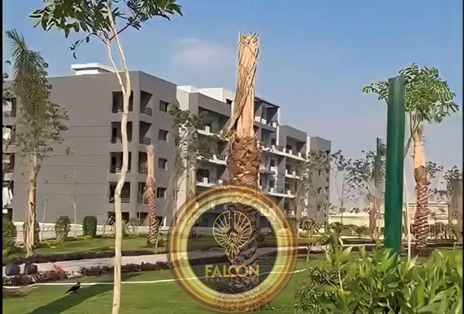 8409583 - صورة العقار 3