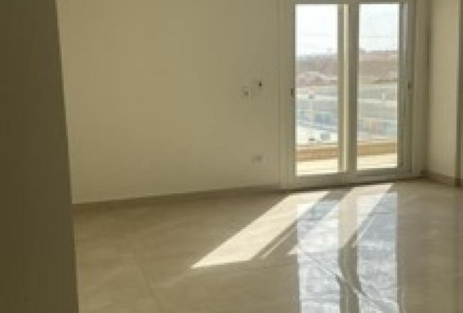 8451179 - Property Image 3