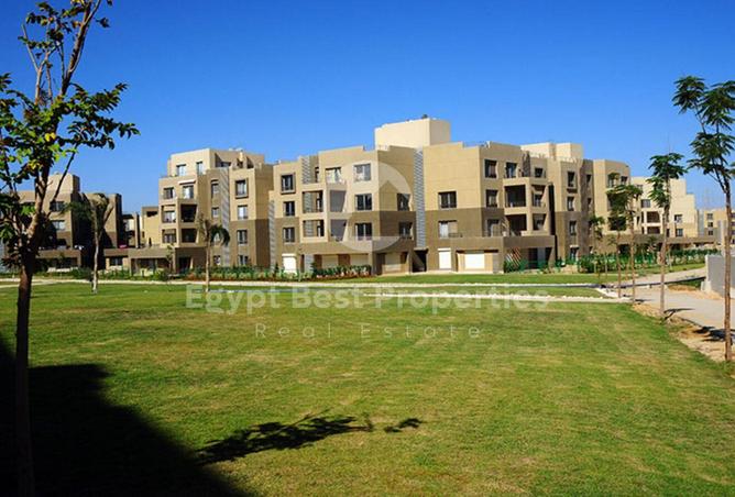 8006015 - Property Image 3